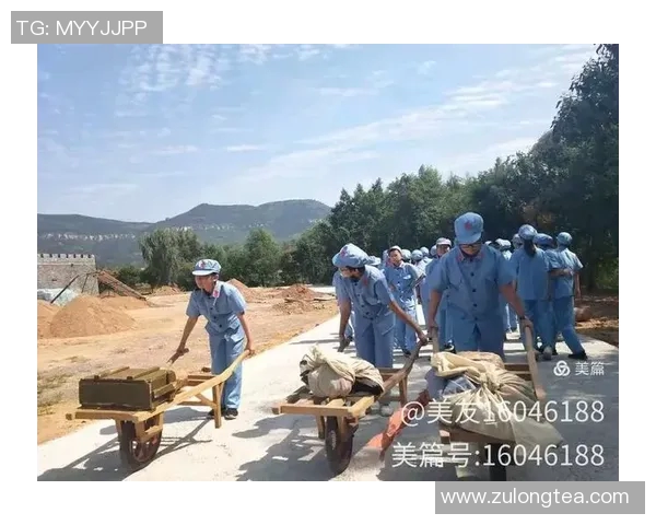 LNG战队转型之路的艰辛与辉煌全景纪实分析