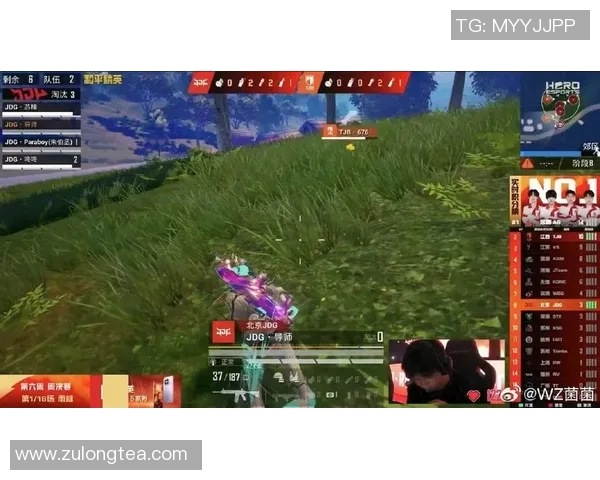 和平精英焦点JDG的速度探讨与战术分析及未来发展趋势研究