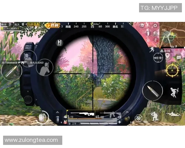 和平精英评论LNG战队在S15LOL赛季中的表现分析与节奏掌控探讨