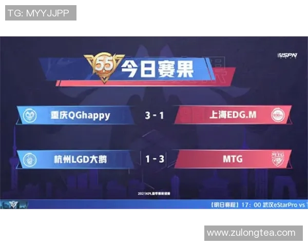 深入探讨王者荣耀EDG战队的技术策略与游戏机制解析